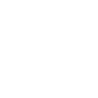 Pillow Rebels Logo White